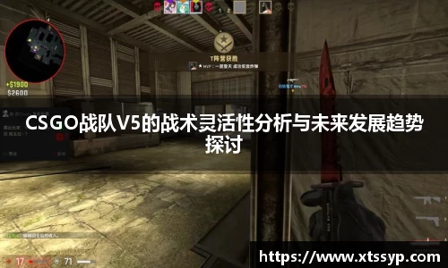 CSGO战队V5的战术灵活性分析与未来发展趋势探讨